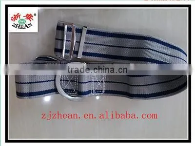 Fall Protection Safety Belt