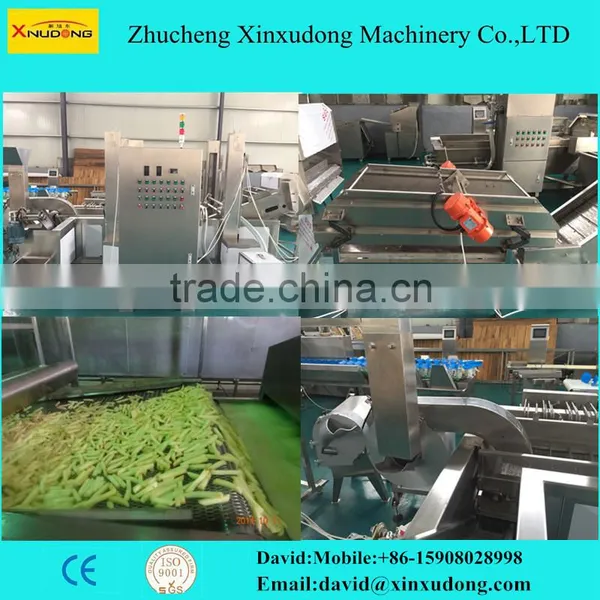 French Fries Production Line