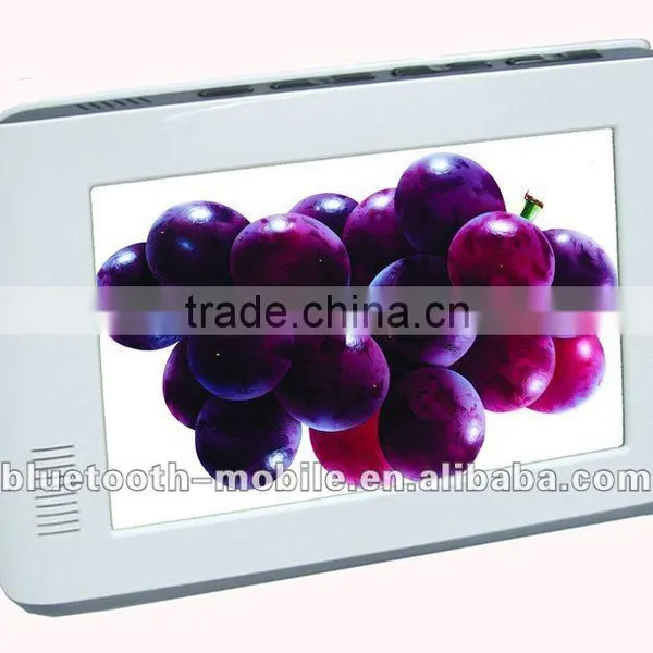 DVB-T Mobile TV With European DVB-T