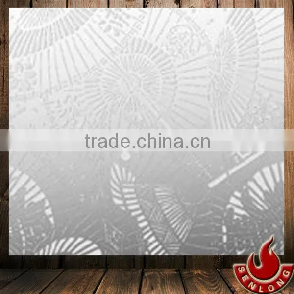 Stainless Steel Decorative Panel for Elevator (SLM011)