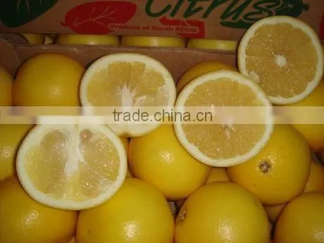 Fresh Grapefruit photo-2
