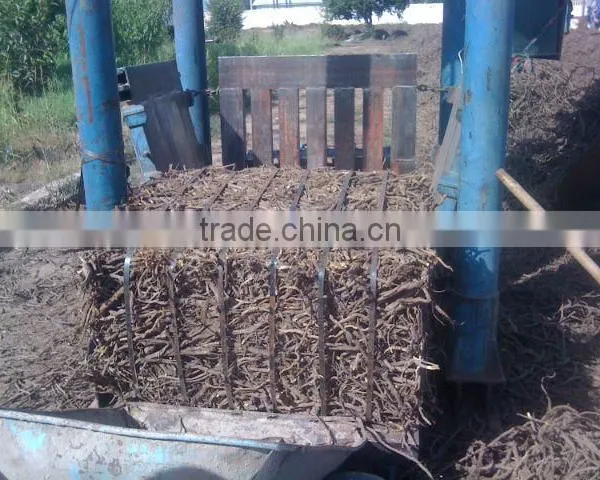 Liqorice Roots photo-5