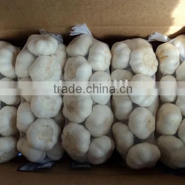 Chinese Fresh Garlic 2015 Garlic photo-4
