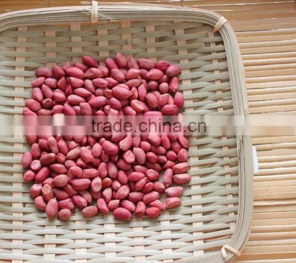 Groundnut Peanut Kernels photo-6