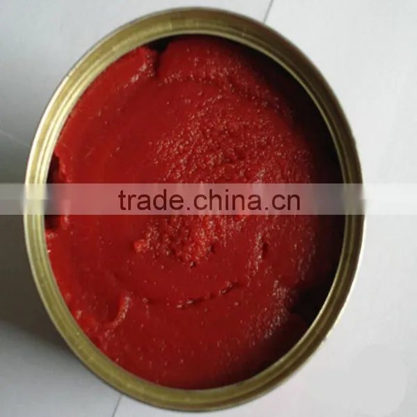 Canned Tomato Paste Triple Concentrate Tomato Sauce Tomato Paste Manufacturers photo-2