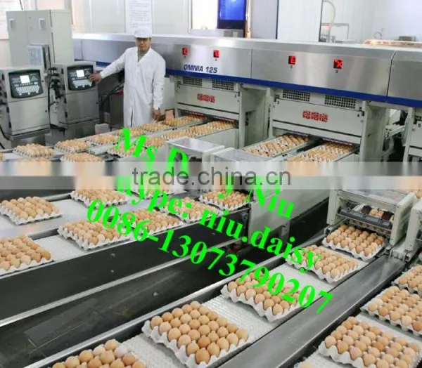 Automatic Egg Weighing Grading Machine/egg Grading Packing Machine/egg Grader for Packing photo-2