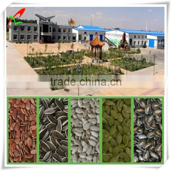 Provide Black Watermelon Seeds Hot Sale New Crop photo-2