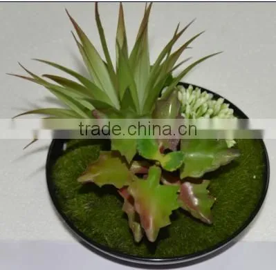 SJ3001011 Indoor Mini Bonsai Cactus Plant Artificial photo-4