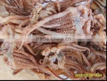 Frozen Squid Tentacles