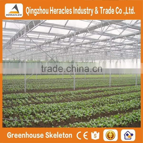 Heracles Gothic Glass Greenhouse for Strawberry photo-5