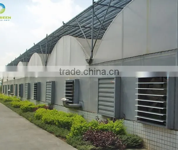 Hot Sale Flower Polycarbonate Tunnel Greenhouse photo-2