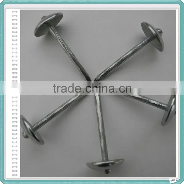BWG9X2.5" Umbrella Head Roofing Nail Factory photo-4