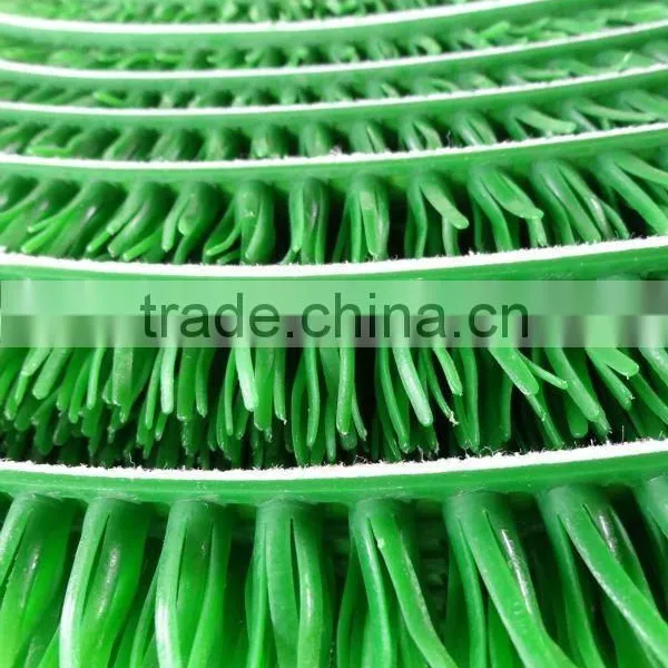Keep the Golden Green Gold Rush Grass photo-4