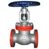 API Globe Valve