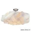 Ceiling Lamp