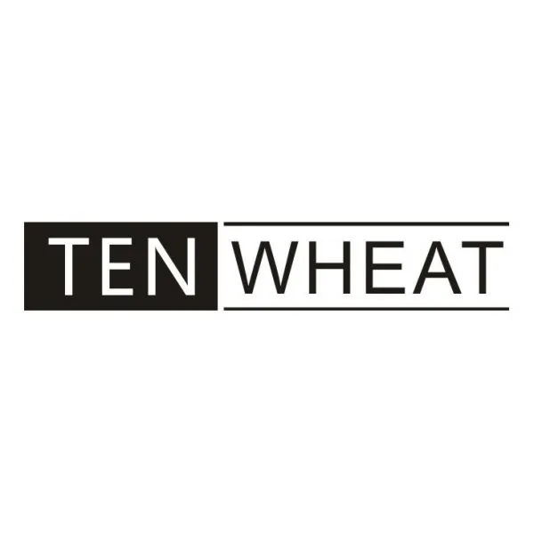 Guangzhou TenWheat Musical Instrument Co.,Ltd company overview - view 1