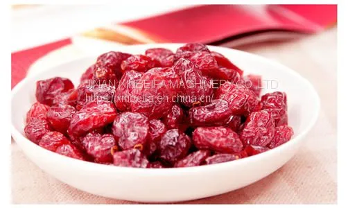 Cranberry Stem Drying Machine photo-4