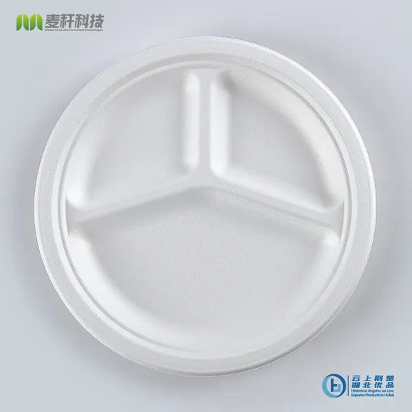 Disposable Biodegradable 10 INCH 3C PLATE Take Away Sugarcane photo-5