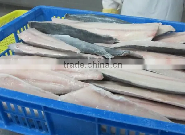 Spanish Mackerel Fillet and Scomberomorus Niphonius photo-6