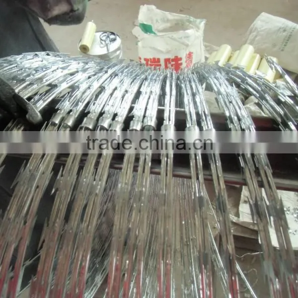 Hot Sale CBT-65 Razor Blade Wire for Fencing With ISO 9001 System photo-3
