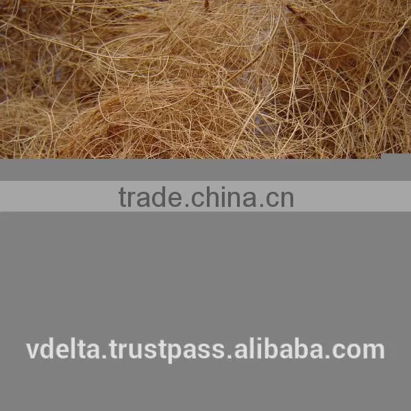 Coconut Fiber photo-3