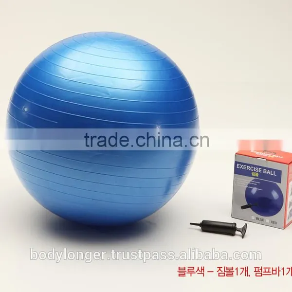 65cm Diameter Gym Ball/ Gym Equipment/ Rack photo-3