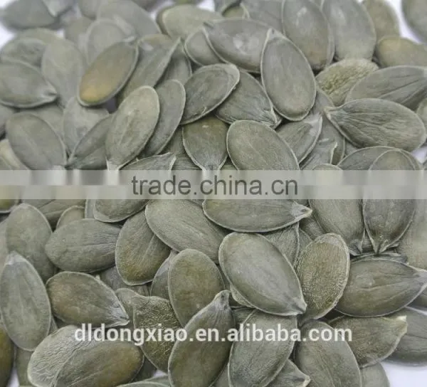 GWS Pumpkin Kernels Raw Cashew Nut Wholesale photo-2