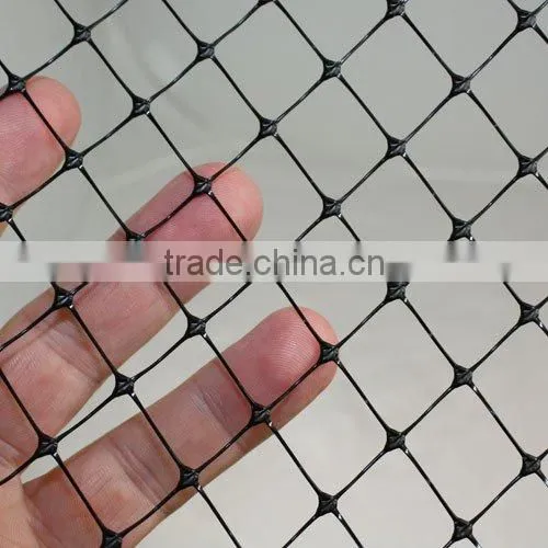 PP Plastic Plain Net for Sale photo-3
