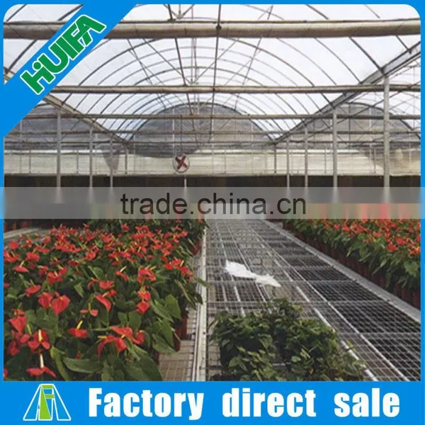 Multi-span Plastic Film Greenhouse and Forever Flowering Auto Blackout Greenhouse