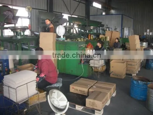 Coil Nail Wholesale photo-5
