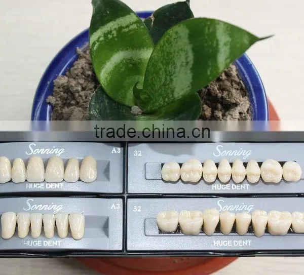 Huge Dental Sonning Full Set Acrylic Denture Teeth photo-2