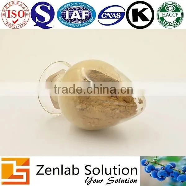 Apple Extract With Apple Phloretin Powder for Skin Whitening photo-3