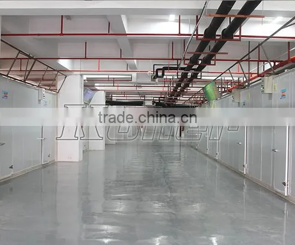 Koller Hot Sale Freezer Cold Room VCR30 for Fish and Meat Storage photo-6