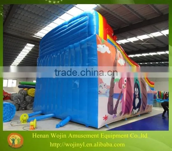New Arrive Giant Size Inflatable Slip and Slide for Adult photo-3