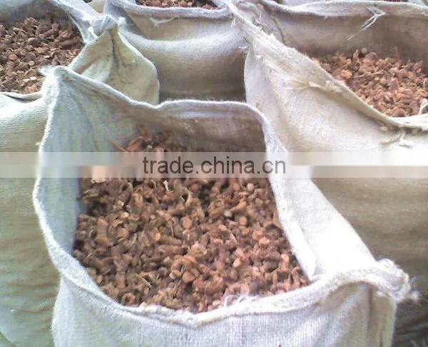 Chinese New Crop Natural 100% Pure Big Size Red Galangal Roots photo-4