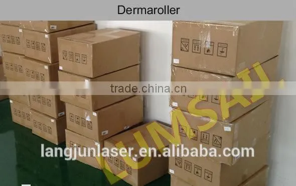 Factory Price 540 Micro Needle Zgts Derma Roller for Skin Therapy photo-6