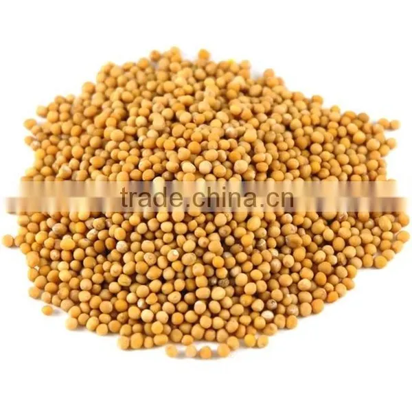 Yellow Mustard Seed