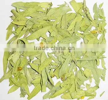 Senna Leaves