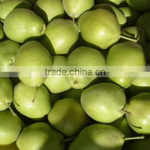 Chinese Fresh Early su Pear With Best Price for Export