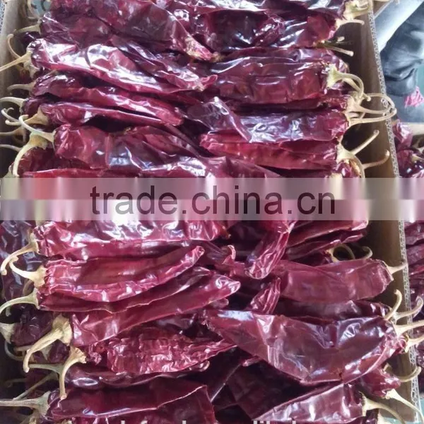 Whole Paprika Pods 180ASTA photo-3
