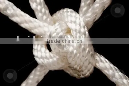 Polyester Solid Rope photo-2