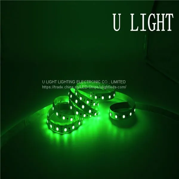 12V 24V LED Flex Ribbon Strip Light Waterproof for Landscape Decoration photo-3