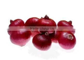 Large Machine Cutter Chengdu Mashed Garlic Ginger Garlic Machine of High Quality Stainless Steel Blade Free Use of a Machine photo-3
