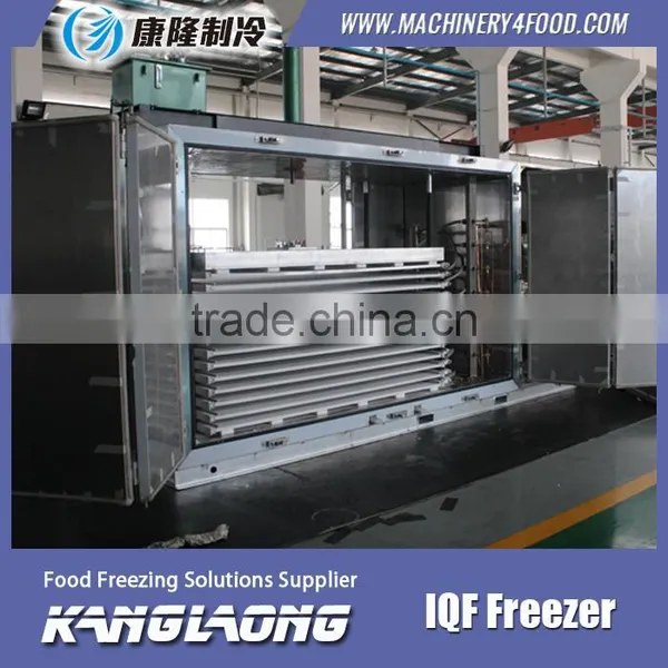 High Quality IQF Compact Freezer With Good Price photo-4