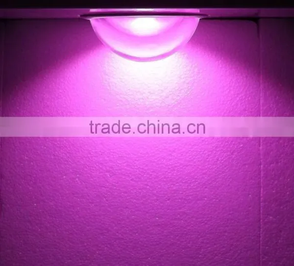 Powerful Cob Led Full Spectrum Chip for Plant,plant Chips photo-3