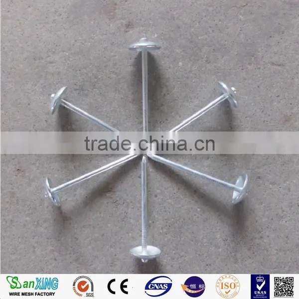 Nails for Construction/Galvanized Iron Nails,umbrella Head Roofing Nails photo-5