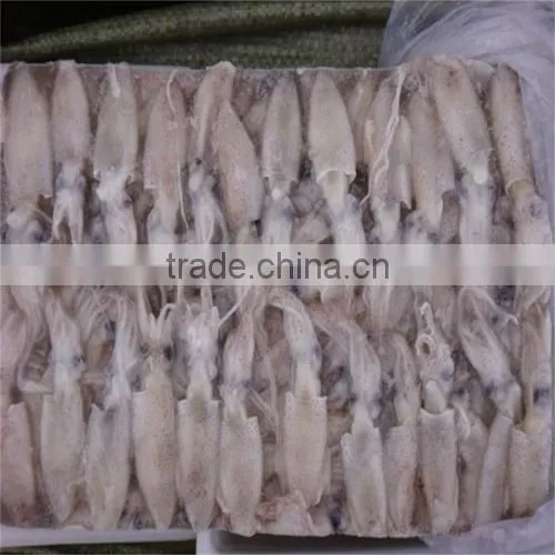 Hot Sale Whole Round Frozen Baby Squid photo-3