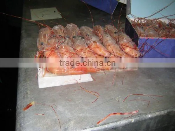 B.C SPOT PRAWNS