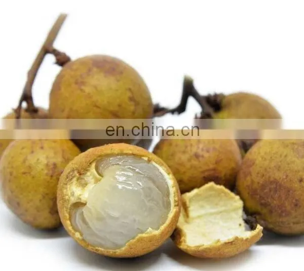 Longan Fruit Peeling and Pitting Machinery Lychee Fruit Peeler and Seeds Core Removing Equipment Litchi Juice Processing Line photo-3