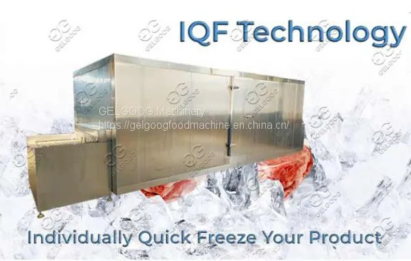 Industrial IQF Machine Price For Fruit & Vegetable photo-2
